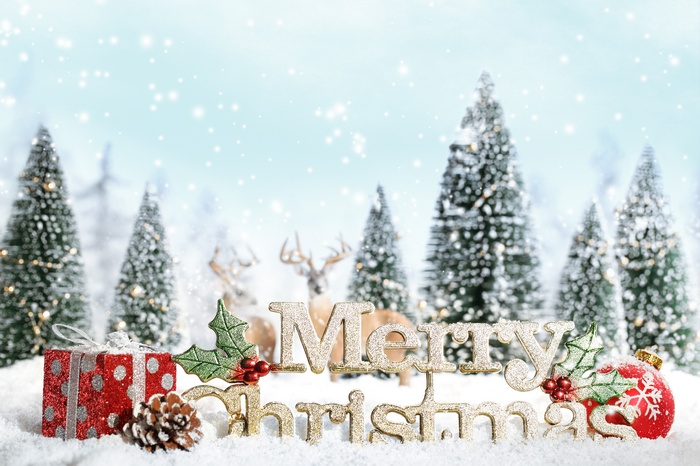 Merry Christmas scene with trees and deer
