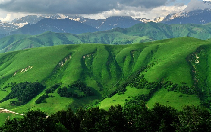 Green rolling hills and snow-capped mountains under a cloudy sky
