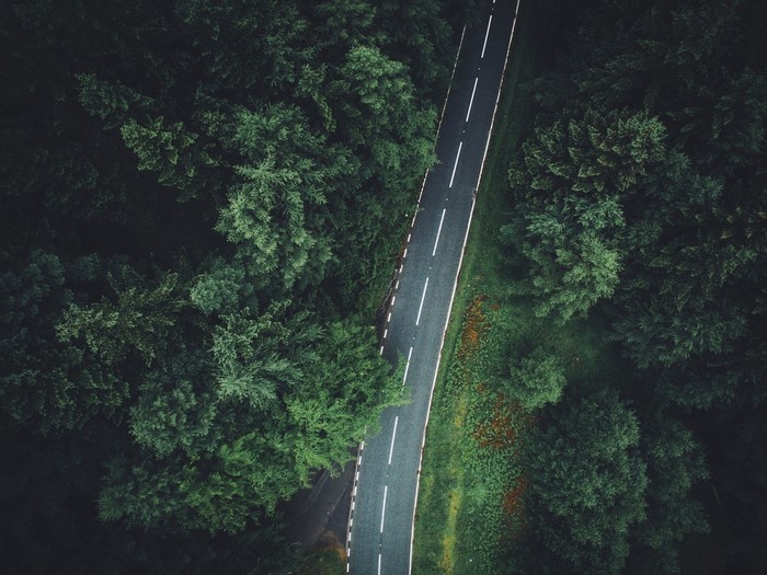 Aerial view of a road through a dense forest