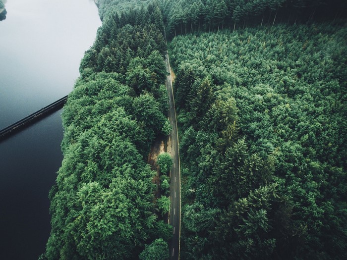 Aerial view of a road through a dense forest next to a body of water