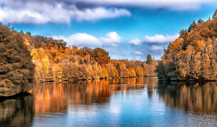 Autumn forest reflected in a lake