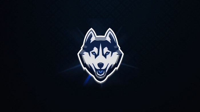 Husky mascot logo with blue and white accents