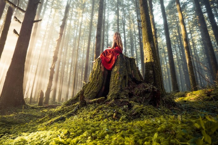 Woman in red dress sitting on a tree stump in a sunlit forest