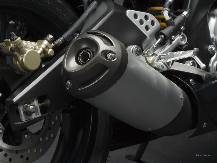 Motorcycle rear brake and exhaust system