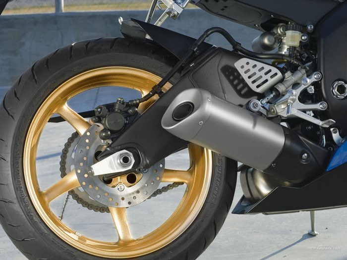 Motorcycle rear wheel, exhaust, and brake system