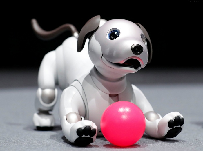 Sony Aibo robot dog with pink ball