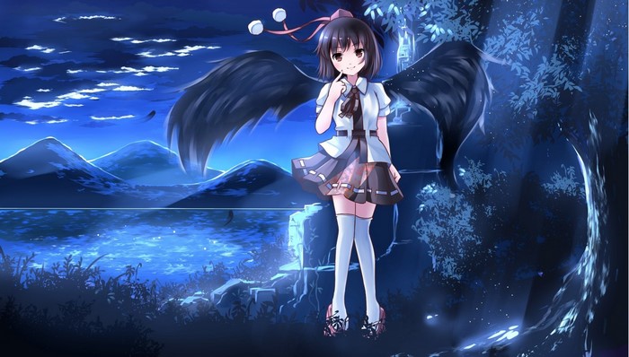 Shameimaru Aya from Touhou Project