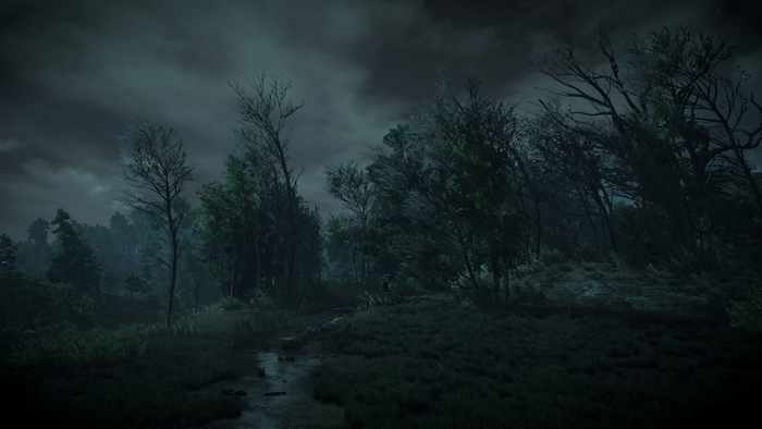 The Witcher 3: Wild Hunt - Dark Forest at Night