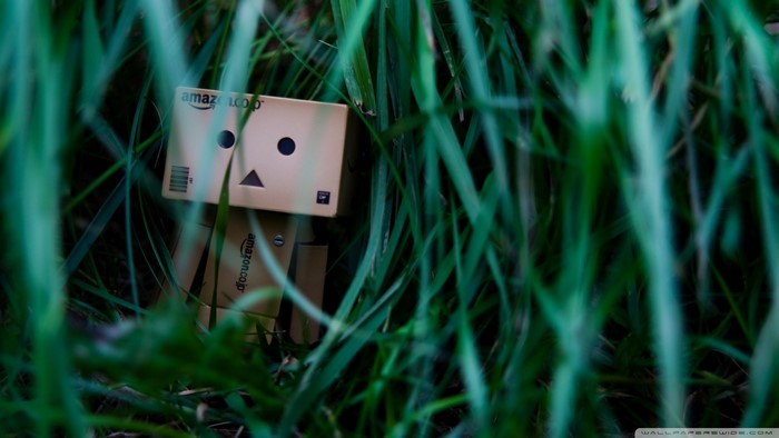 Danbo toy in grass with Amazon logo