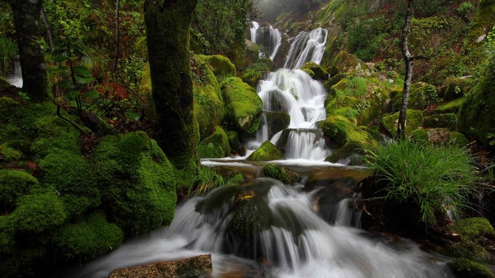 Mossy rocks and a cascading waterfall in a forest