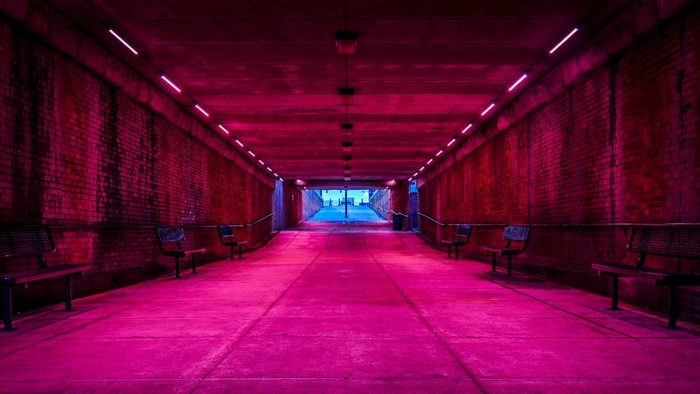 Tunnel with pink lights and benches