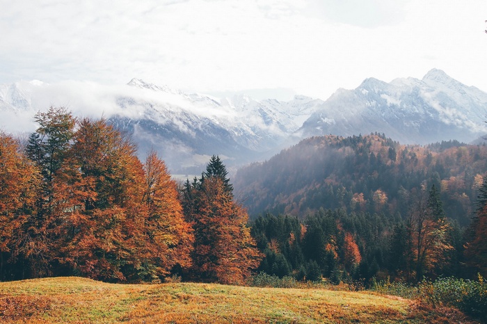 Germany, Oberstdorf, forest, 4K, autumn, mountains