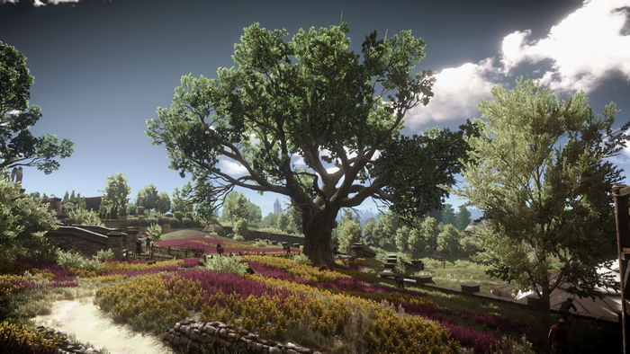 The Witcher 3: Wild Hunt landscape with a large tree and flowers