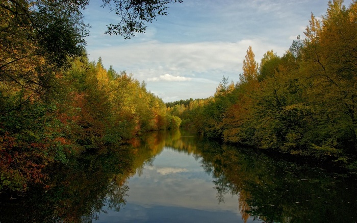 River surrounded by autumn trees under a cloudy sky