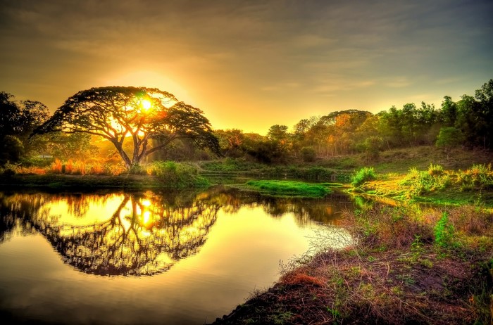 Sunset over a tranquil lake with a large tree and reflection