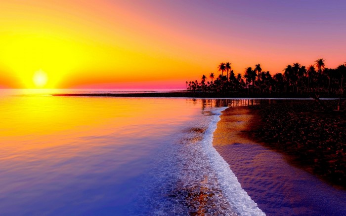 Sunset over a tropical beach with palm trees