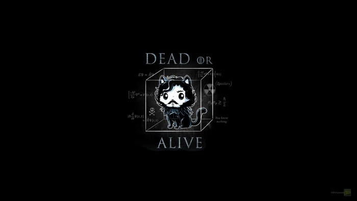 Jon Snow Cat from Game of Thrones