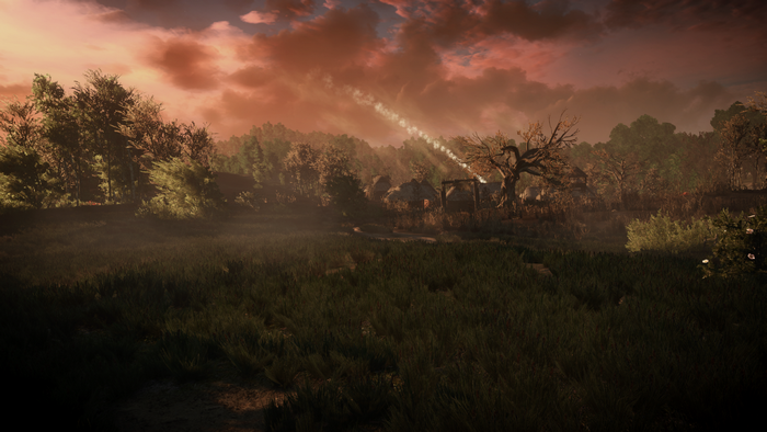 The Witcher 3: Wild Hunt - Misty forest at sunset