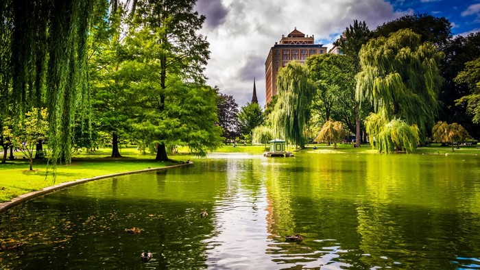 Boston Public Garden with pond and buildings
