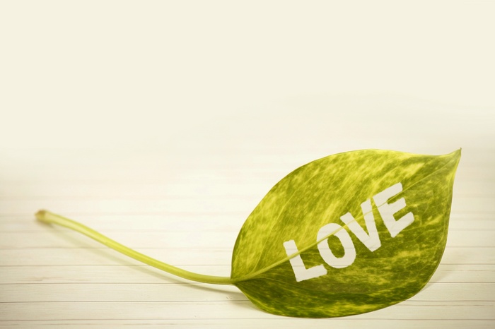 Leaf with the word LOVE