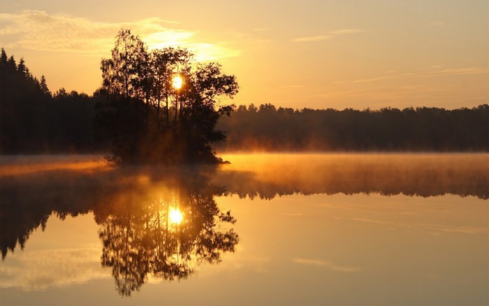 Sunrise over a misty lake with trees and reflection