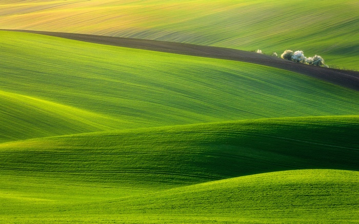 Rolling green hills under a golden sky