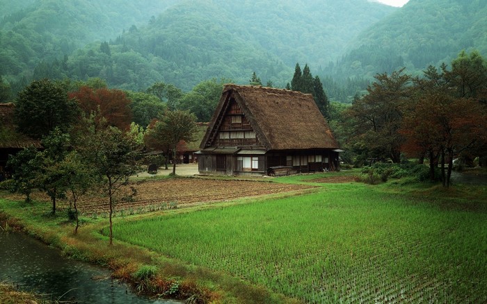 Traditional Japanese Gassho-zukuri farmhouse in a rural village