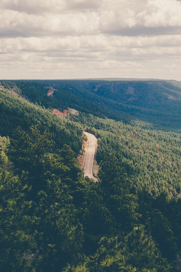 Winding road through a dense forest on a cloudy day