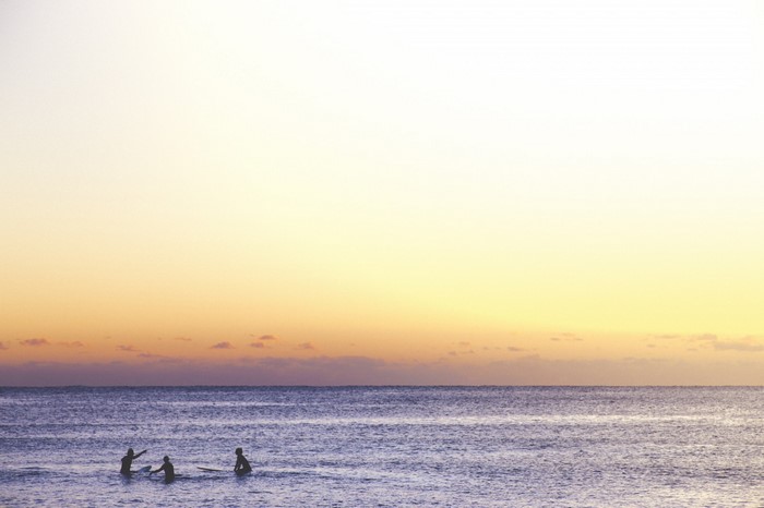 Surfers in the ocean at sunset