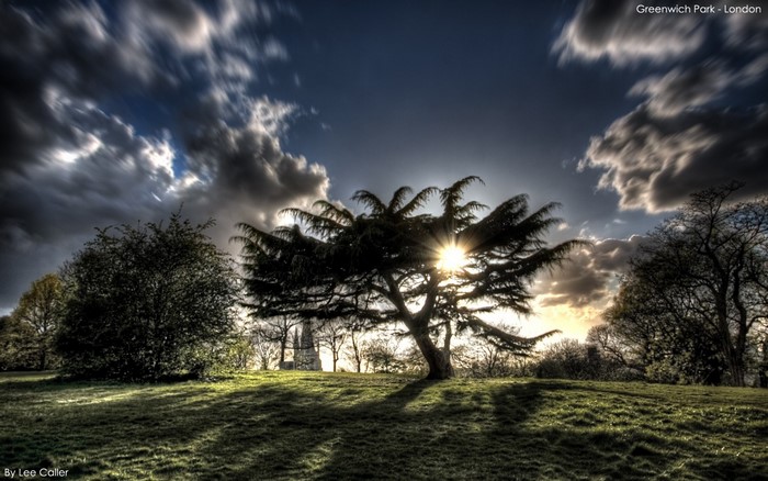 Greenwich Park, London Landscape with Tree and Sun