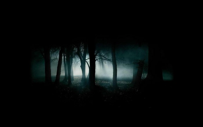 Dark forest with mist and light