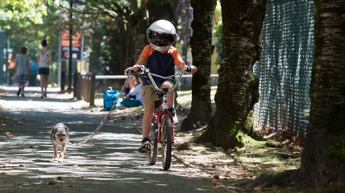 Boy on bicycle with dog on leash