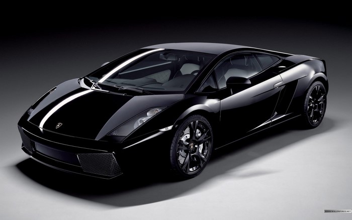 Black Lamborghini Gallardo sports car with white stripe