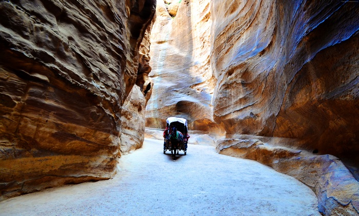 horse, 4K, Jordan, Petra, rocks