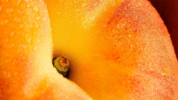 Close-up of a wet apricot with water droplets