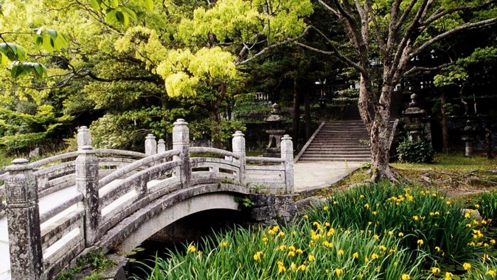 Serene Garden Bridge with Yellow Flowers