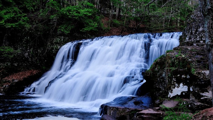 Waterfall cascading through a dense forest