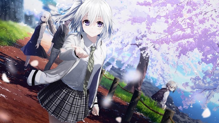 Anime girls with white hair under cherry blossoms