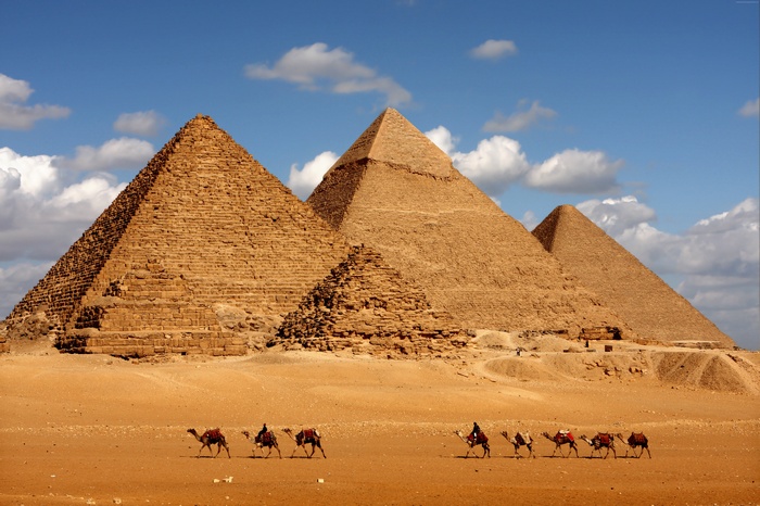 8k, pyramid, camel, Egypt