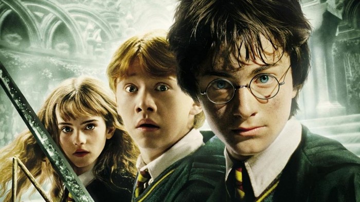 Harry Potter, Hermione, and Ron in Chamber of Secrets