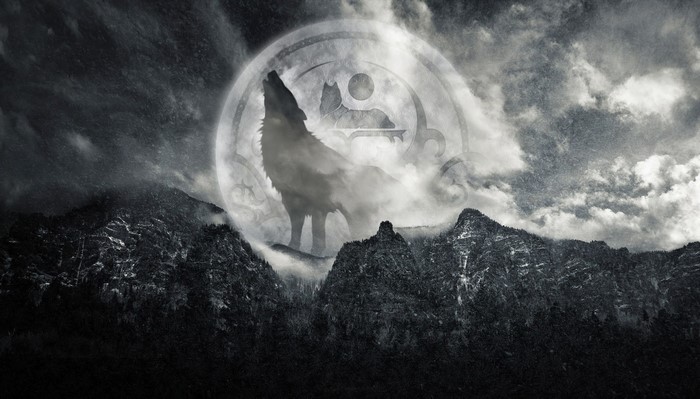 Wolf howling at the moon over mountains