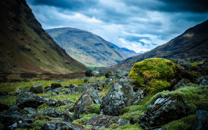 Mossy rocks in a mountain valley under cloudy sky