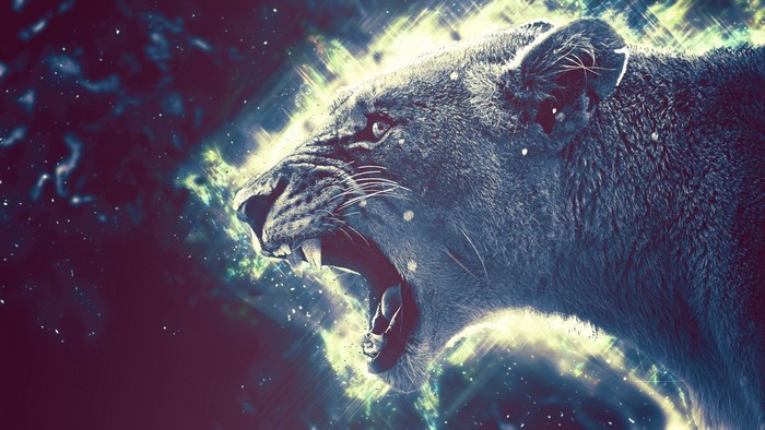 Lion roaring with cosmic background