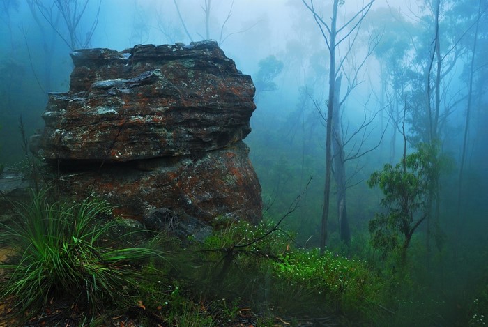 Misty forest with large rock formation and grass