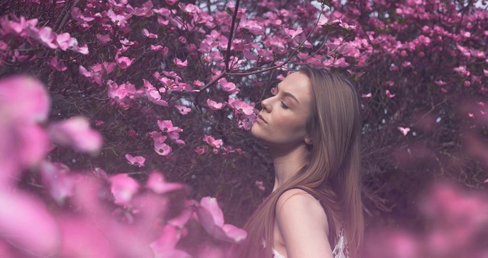 Woman smelling pink dogwood blossoms in spring