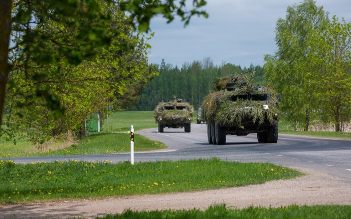 Military vehicles camouflaged with branches on a rural road