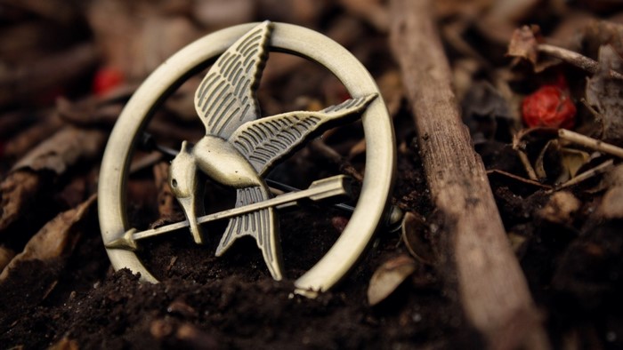 The Hunger Games Mockingjay pin on soil and leaves