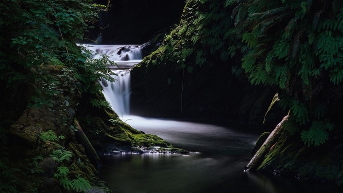 Waterfall flowing through a mossy forest