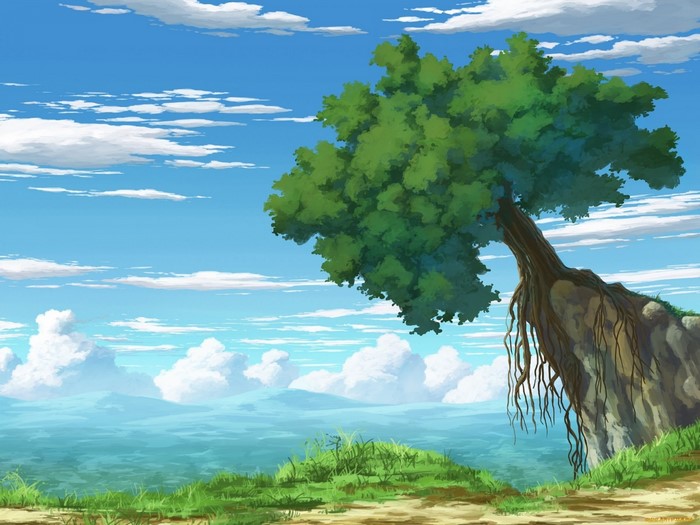 Tree on a cliff overlooking the ocean