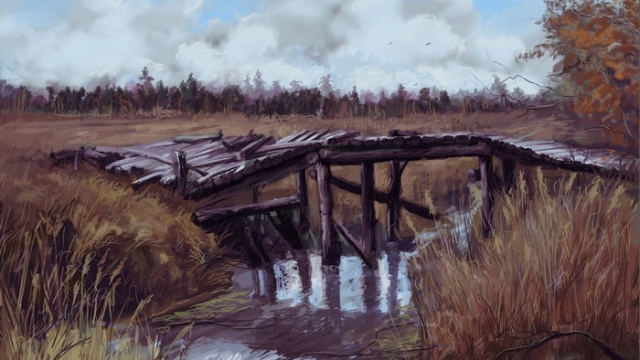 Broken wooden bridge over a stream in a wetland landscape